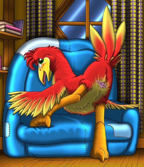 2014 animal_genitalia avian avian_butt banjo-kazooie beak bird blush book breegull chair cloaca detailed_background e621 feathered_wings feathers feet female feral furniture genitals happy horizontal_cloaca inside kazooie kitsune_youkai looking_at_viewer looking_back narrowed_eyes nude open_mouth rareware smile solo squint tail tail_feathers wings