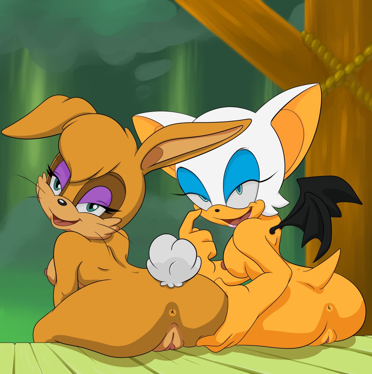 2014 absurd_res anthro archie_comics bat big_breasts blue_eyes bodalack breasts bunnie_rabbot butt curvy_figure cybernetics cyborg duo e621 female fur genitals green_eyes hair hi_res lagomorph leporid looking_at_viewer machine mammal nipples nude open_mouth presenting presenting_hindquarters rabbit rouge_the_bat sega smile sonic_the_hedgehog_(archie) sonic_the_hedgehog_(comics) sonic_the_hedgehog_(series) spread_butt spreading thick_thighs tongue voluptuous voluptuous_anthro voluptuous_female vulva white_body white_fur white_hair wide_hips