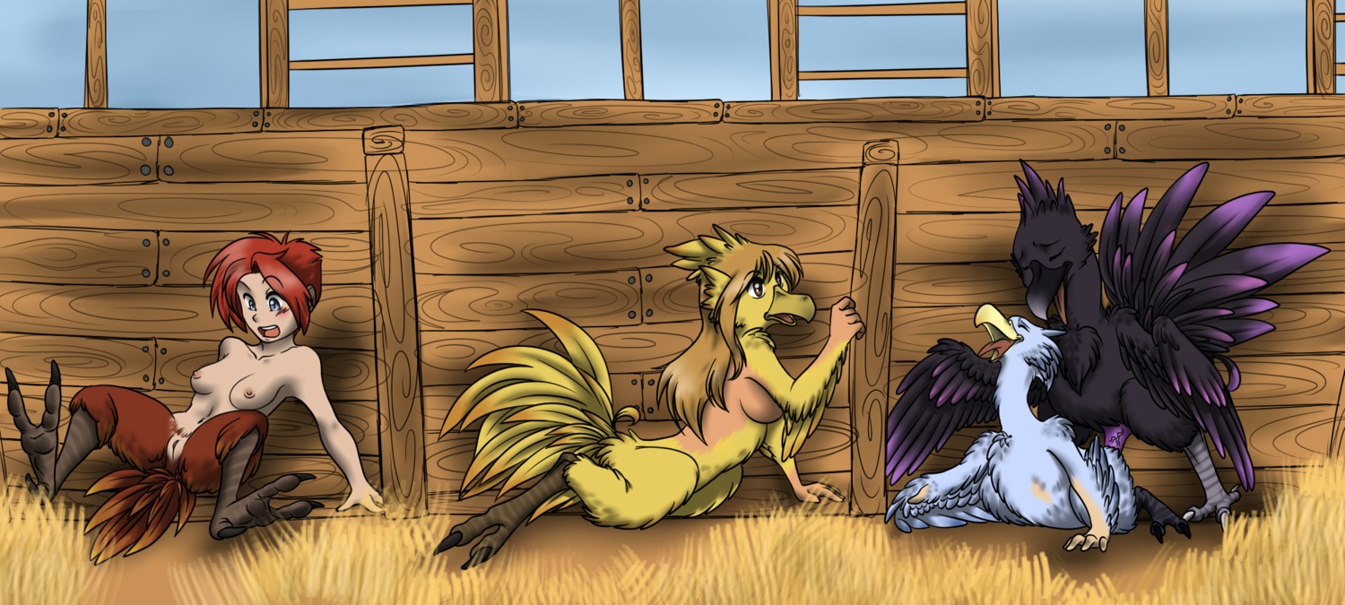 chocobo female final_fantasy harpy popcornkitten rule34 tagme