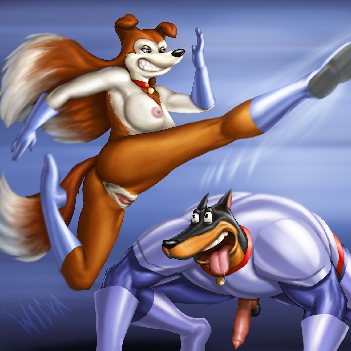 1:1 2014 angry animal_genitalia animal_penis anthro anus balls blitz_(road_rovers) boots bottomless breasts canid canine canine_genitalia canine_penis canis clothed clothing colleen_(road_rovers) dobermann domestic_dog duo e621 erection female floppy_ears footwear fully_clothed genitals gloves handwear karate knot male mammal mostly_nude nipples nude penis pinscher pointy_ears prick_ears road_rovers shoes vulva wicka