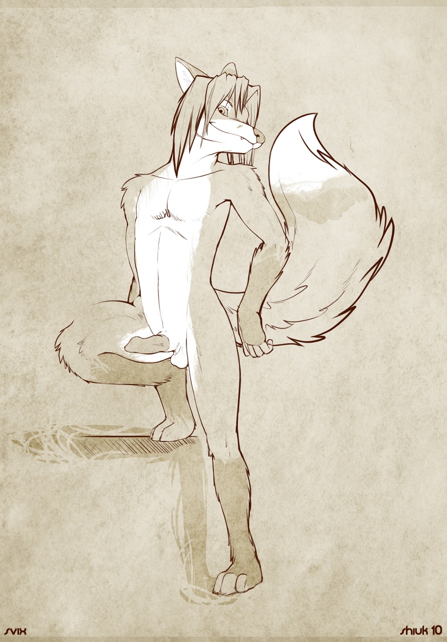 animal_genitalia animal_penis anthro canid canine canine_genitalia canine_penis e621 erection fangs fox genitals greyscale hi_res male mammal monochrome penis sheath shiuk simple_background solo svix tail teeth