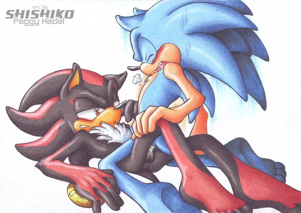 anal anal_penetration anthro anthro_on_anthro barefoot big_eyes big_head black_body black_fur blue_body blue_fur blush duo e621 erection eulipotyphlan feet fur genitals hedgehog intraspecies male male/male male_penetrated male_penetrating male_penetrating_male mammal nude penetration penis sega sex shadow_the_hedgehog shishiko sonic_the_hedgehog sonic_the_hedgehog_(series) toony