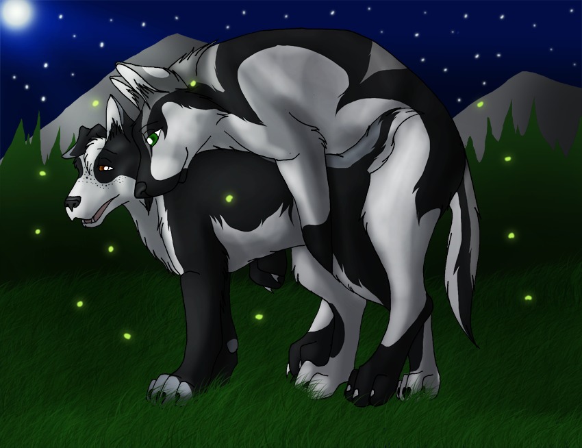 ambient_arthropod ambient_firefly ambient_insect arthropod canid canine canis detailed_background duo e621 female feral feral_on_feral from_behind_position male male/female mammal moon night nude outside romantic romantic_ambiance sex side_view sky star starry_sky tail wolf yami-kage