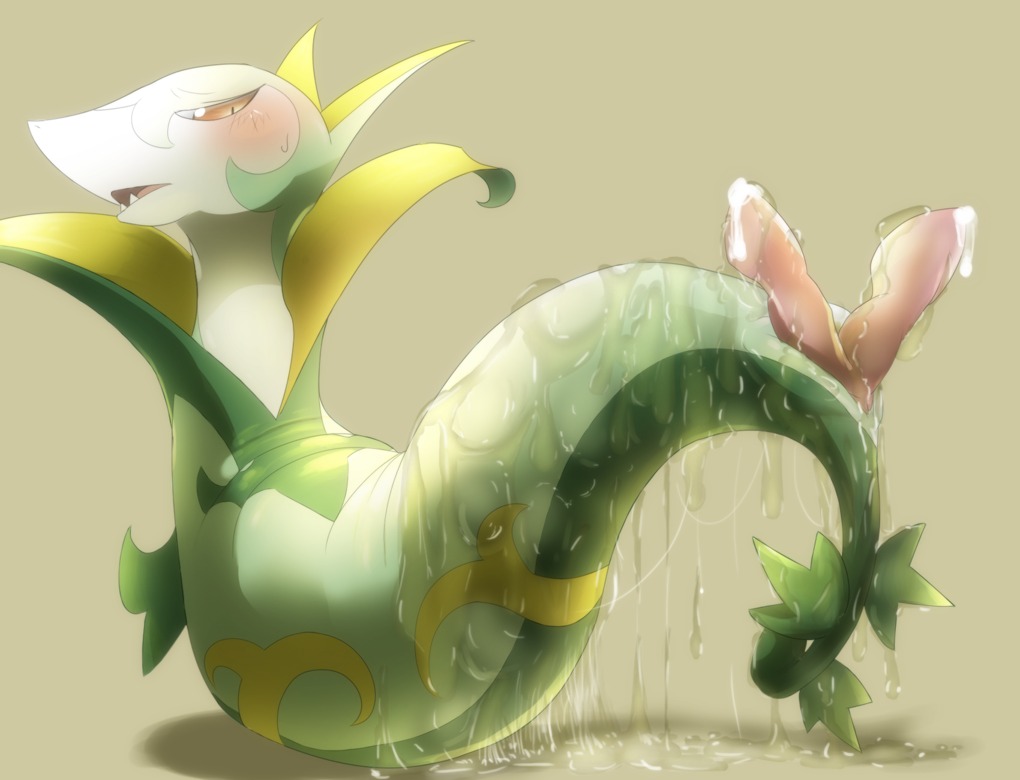 2_penises animal_genitalia animal_penis biozs blush bodily_fluids cloaca cloacal_penis cum e621 erection feral generation_5_pokemon genital_fluids genitals hemipenes male multi_genitalia multi_penis nintendo nude oil penis pokemon pokemon_(species) reptile scalie serpentine serperior slightly_chubby snake solo
