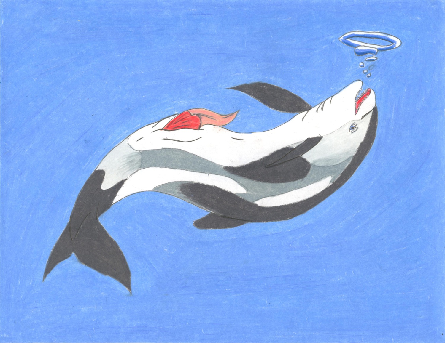 absurd_res adleisio adleisio_(character) animal_genitalia animal_penis anus aquatic bubble cetacean cetacean_genitalia cetacean_penis dolphin e621 erection feral genital_slit genitals hi_res looking_at_viewer male mammal oceanic_dolphin penis presenting presenting_penis simple_background solo tapering_penis toothed_whale underwater water white-beaked_dolphin