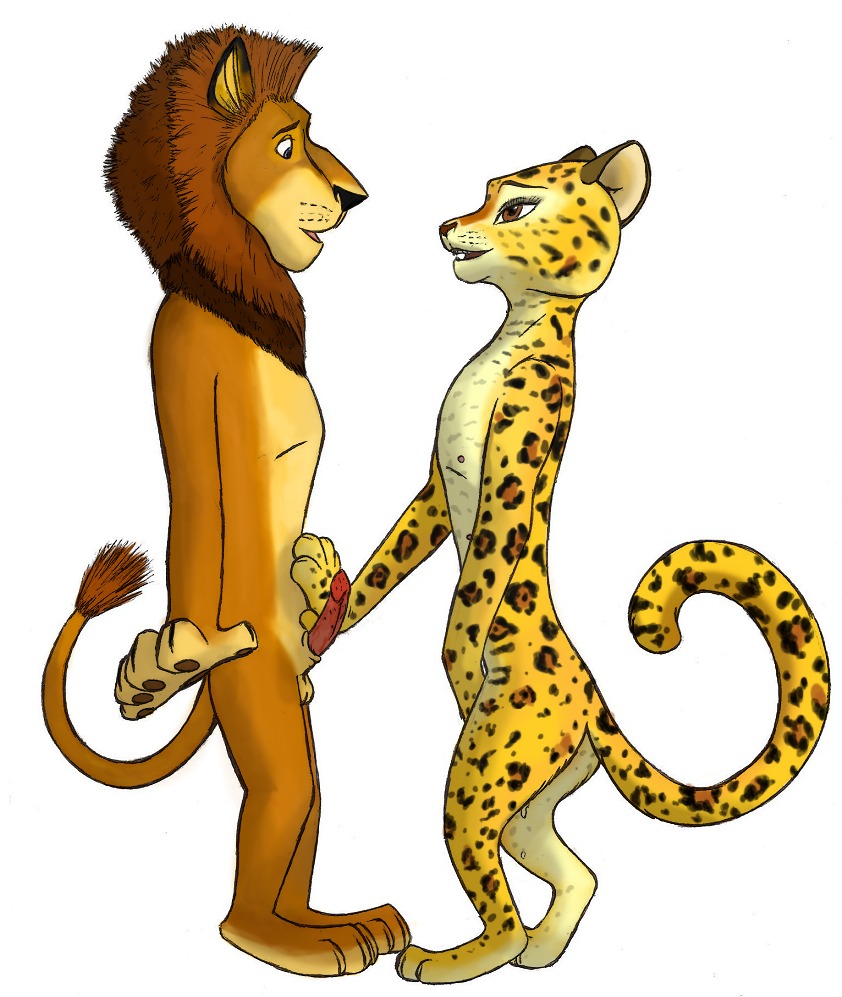 alex_(madagascar) anatomically_correct anatomically_correct_genitalia anatomically_correct_penis animal_genitalia animal_penis anthro balls bodily_fluids cum dreamworks duo e621 erection eye_contact felid feline_genitalia feline_penis female genital_fluids genitals gia_(madagascar) interspecies jaguar lion looking_at_another madagascar_(series) male mammal marjani pantherine penile_spines penis simple_background tail vaginal_fluids white_background