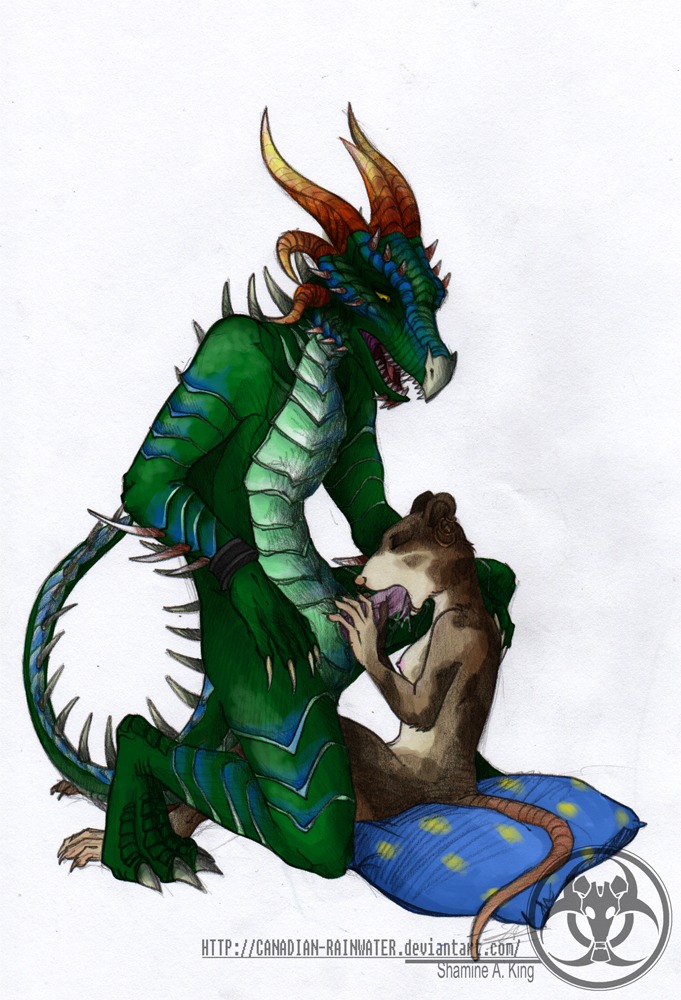 anthro breasts brown_body brown_fur duo e621 erection everquest everquest_2 eyes_closed fellatio female female_penetrated fur genitals giraku green_body green_scales interspecies larger_male male male/female male_penetrating male_penetrating_female mammal nipples nude oral oral_penetration penetration penile penis pillow ratonga rodent sarnak scales scalie sex simple_background size_difference smaller_female smaller_penetrated white_background
