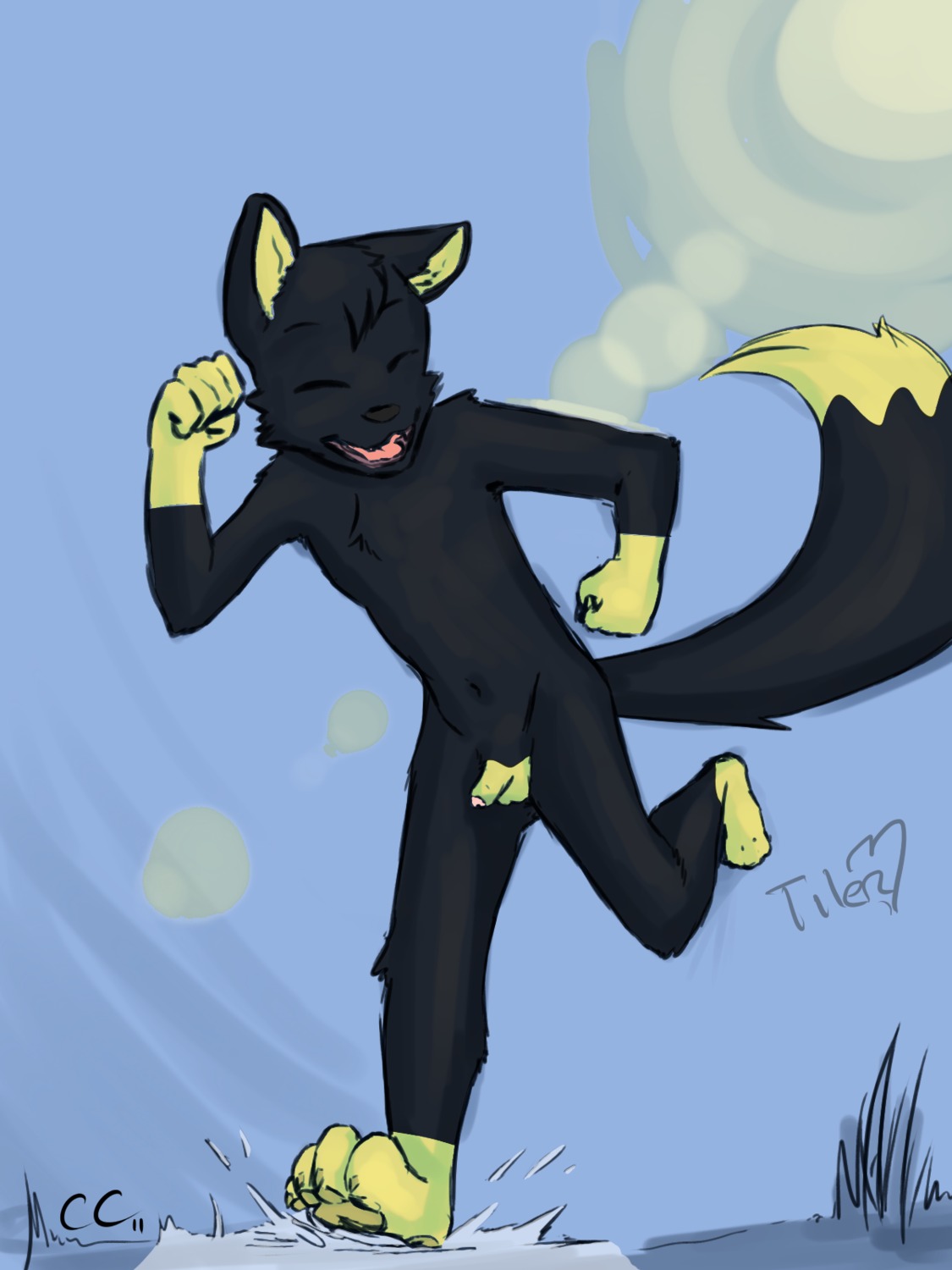 3:4 anthro balls blush canid canine detailed_background e621 flaccid fox genitals happy hi_res male mammal penis running solo tae_(ttfox) tail tiler young young_anthro young_male