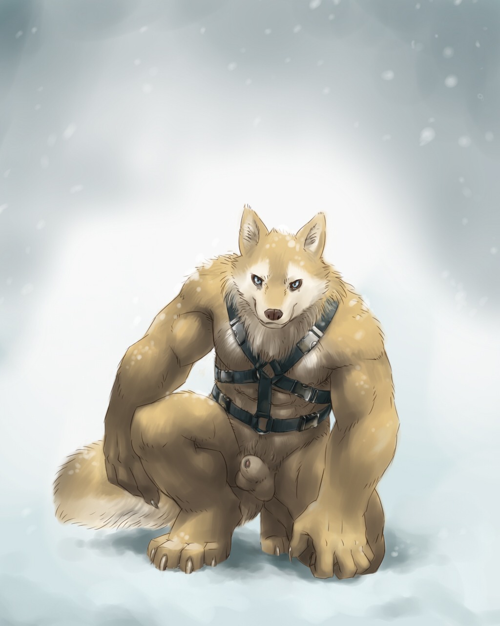 4:5 animal_genitalia anthro balls canid canine canis detached_sheath domestic_dog e621 fffffolder genitals harness hi_res husky looking_at_viewer male mammal mostly_nude nordic_sled_dog penis penis_tip sheath solo spitz starkhusky tail tan_balls tan_sheath