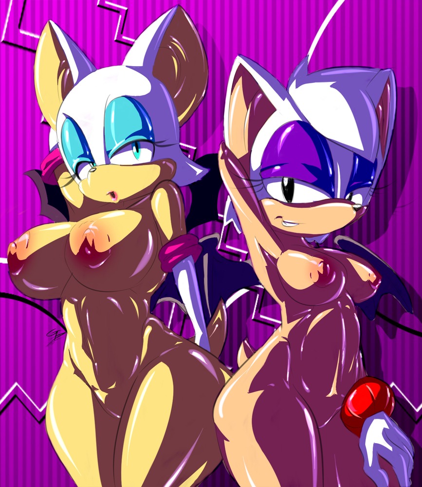 2014 anthro areola bat big_breasts breast_size_difference breasts duo e621 erect_nipples female gblastman genitals mammal membrane_(anatomy) membranous_wings nipples nude rouge_the_bat sega sonic_the_hedgehog_(series) vulva wings