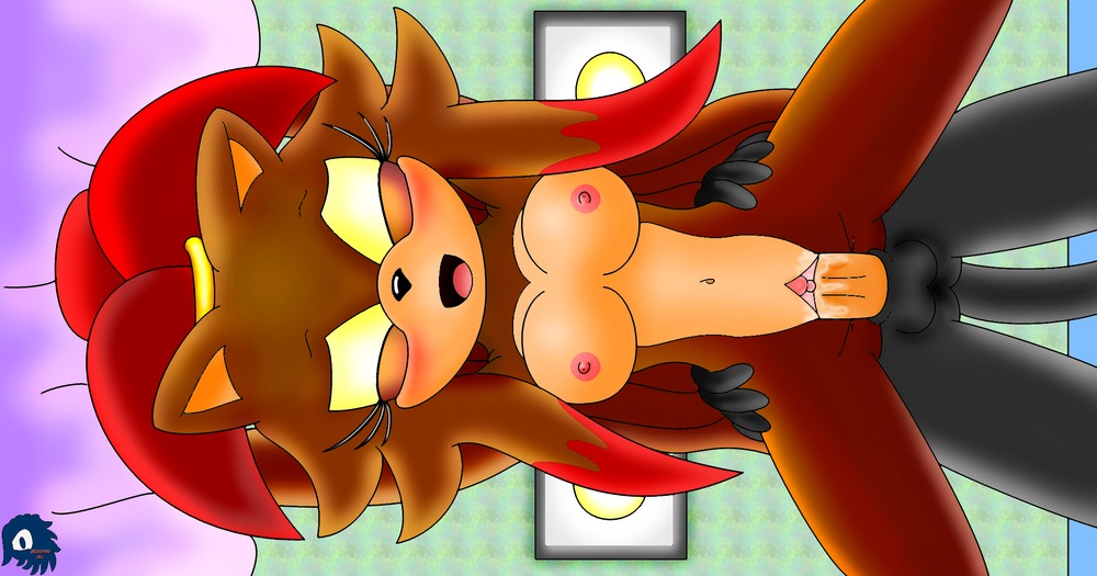 anthro anthro_on_anthro balls bigdon1992 boromin_the_cat breasts domestic_cat duo e621 erection eulipotyphlan fan_character felid feline felis female female_penetrated genitals glistening hedgehog male male/female male_penetrating male_penetrating_female mammal nipples penetration penile penile_penetration penis penis_in_vagina sega sex shine_the_cat sonic_the_hedgehog_(series) tail vaginal vaginal_penetration vulva