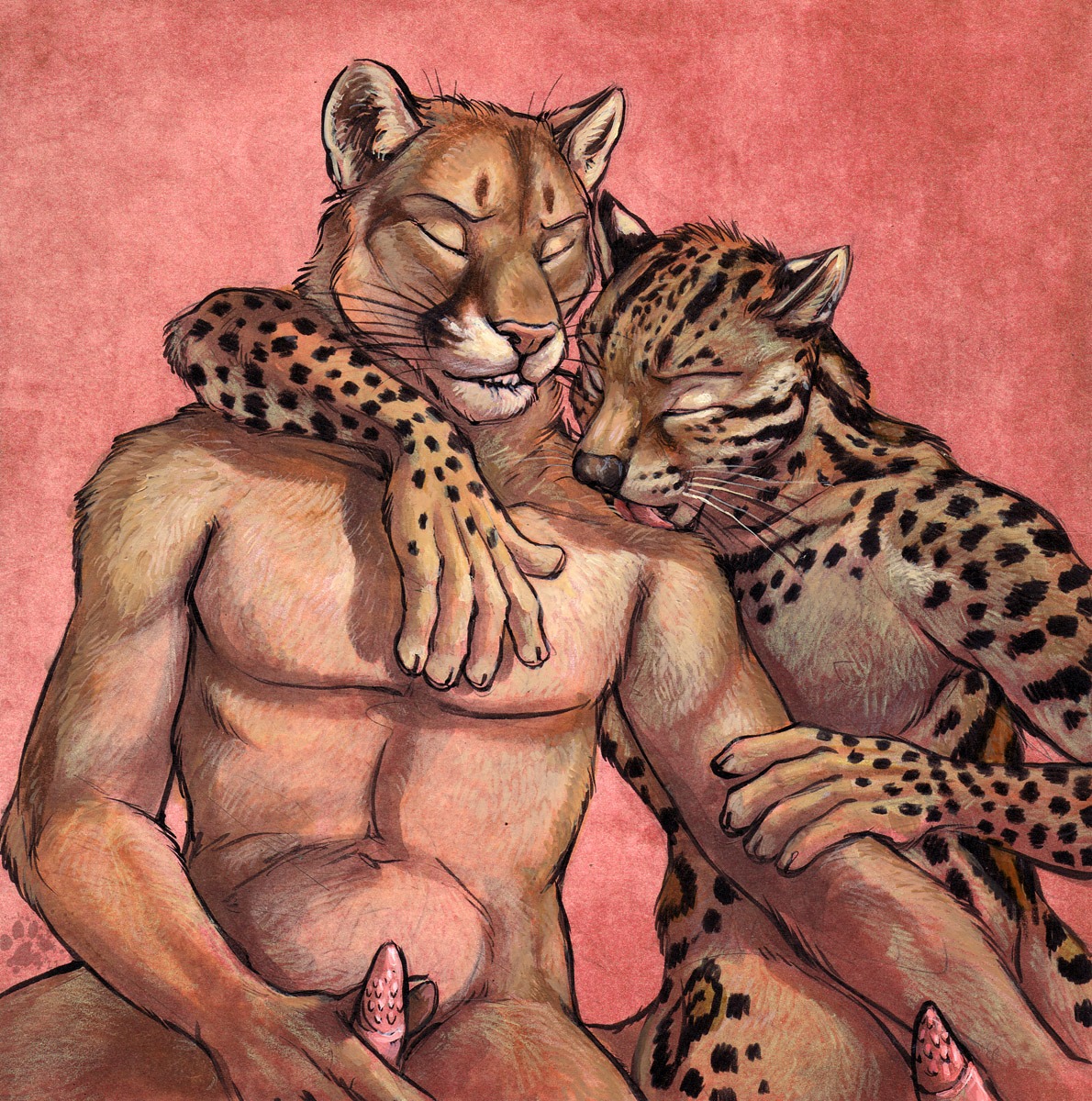 2011 animal_genitalia animal_penis anthro bite biting_lip biting_own_lip black_nose blotch cougar duo e621 erection eyes_closed felid feline feline_genitalia feline_penis genitals hi_res leopardus licking lips male male/male mammal ocelot penile_spines penis pink_nose scratches_volume_5 self_bite spots tapering_penis tongue tongue_out traditional_media_(artwork)