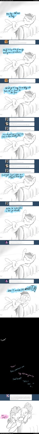 dashboom earth_pony equine female feral friendship_is_magic horse my_little_pony pegasus pinkie_pie_(mlp) pony rainbow_dash_(mlp) rule34 smooth_skin yuri