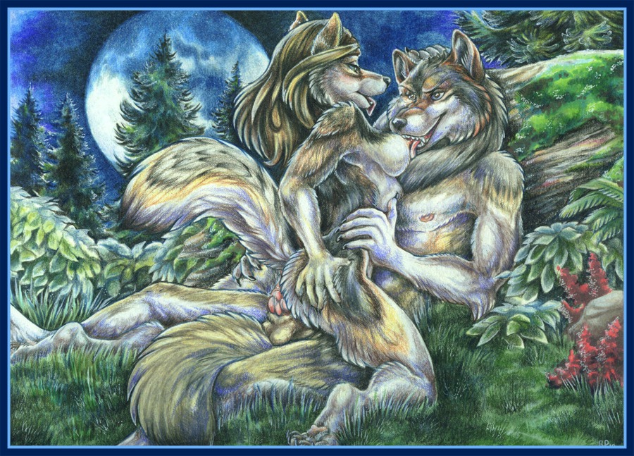 2010 anthro balls breast_lick breasts canine canine_penis female fur furry knot licking male moon night nude on_back outdoors penetration penis pussy raised_tail rule34 sex straight tail tongue vaginal_penetration wielder wolf