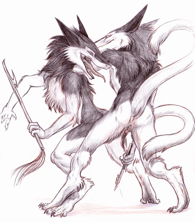 anthro chiral_sisters clitoral_hood clitoris duo e621 female freel genitals mammal niox nude prehensile_clitoral_hood sergal sickeleye simple_background tail vulva weapon white_background