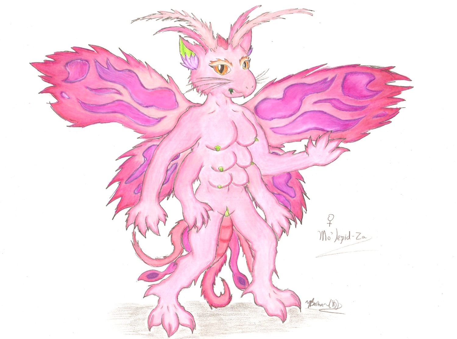 2013 6_breasts 7_toes anthro arthropod barefoot biped breasts butterfly e621 feet felid female fur genitals hi_res hybrid insect insect_wings lepidopteran looking_at_viewer mammal mo'lepid-za moth multi_breast multi_limb nipples nude simple_background solo supernumerary_breasts toes vulva wings yd6104