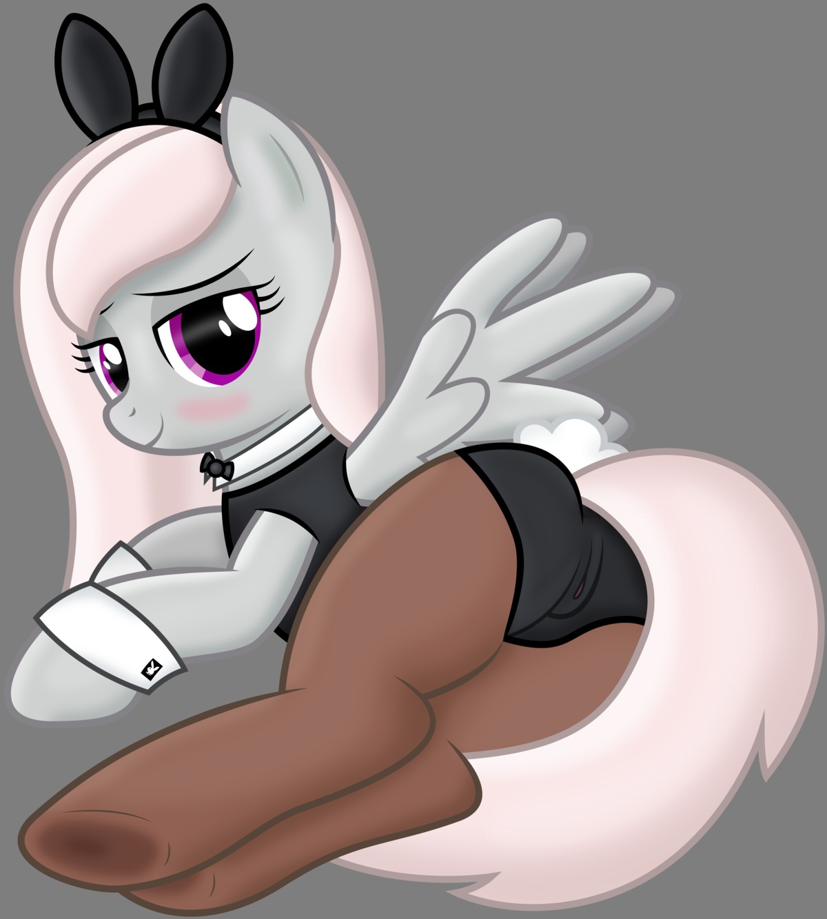 2014 absurd_res alpha_channel blush bunny_costume clitoris clothing costume digital_media_(artwork) e621 equid equine fan_character feathered_wings feathers female fur genitals grey_body grey_fur hair hasbro hi_res mammal my_little_pony mythological_creature mythological_equine mythology pegasus playboy purple_eyes shy smile solo stillfire vector vulva white_hair wings