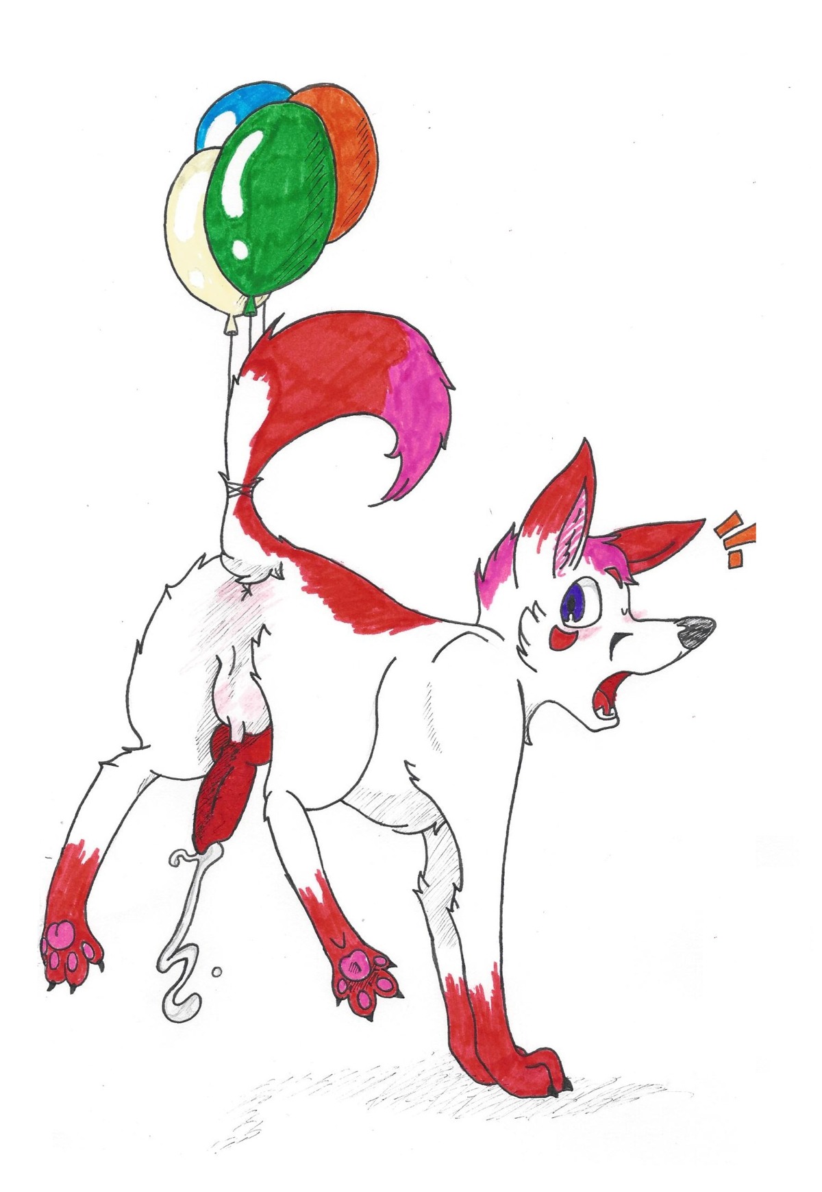 4_toes anus attached_to_balloon backsack backsash balloon balloon_support balls black_nose blush bodily_fluids butt canid canine canis claws cum cumshot domestic_dog e621 ejaculation erection feet feral fur genital_fluids genitals hair hanging_from_balloon hi_res hindpaw husky inflatable inflatable_support looking_back male mammal nordic_sled_dog on_fore_legs open_mouth orgasm pawpads paws penis quadruped raised_tail sash_(backsash) simple_background solo spitz tail teeth toes tongue white_background white_body white_fur
