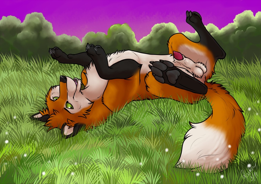 2014 alma_aurora animal_genitalia animal_penis balls canid canine canine_genitalia canine_penis e621 feral fox genitals looking_at_viewer lying male mammal nude on_back outside penis penis_tip red_fox sheath solo spread_legs spreading true_fox