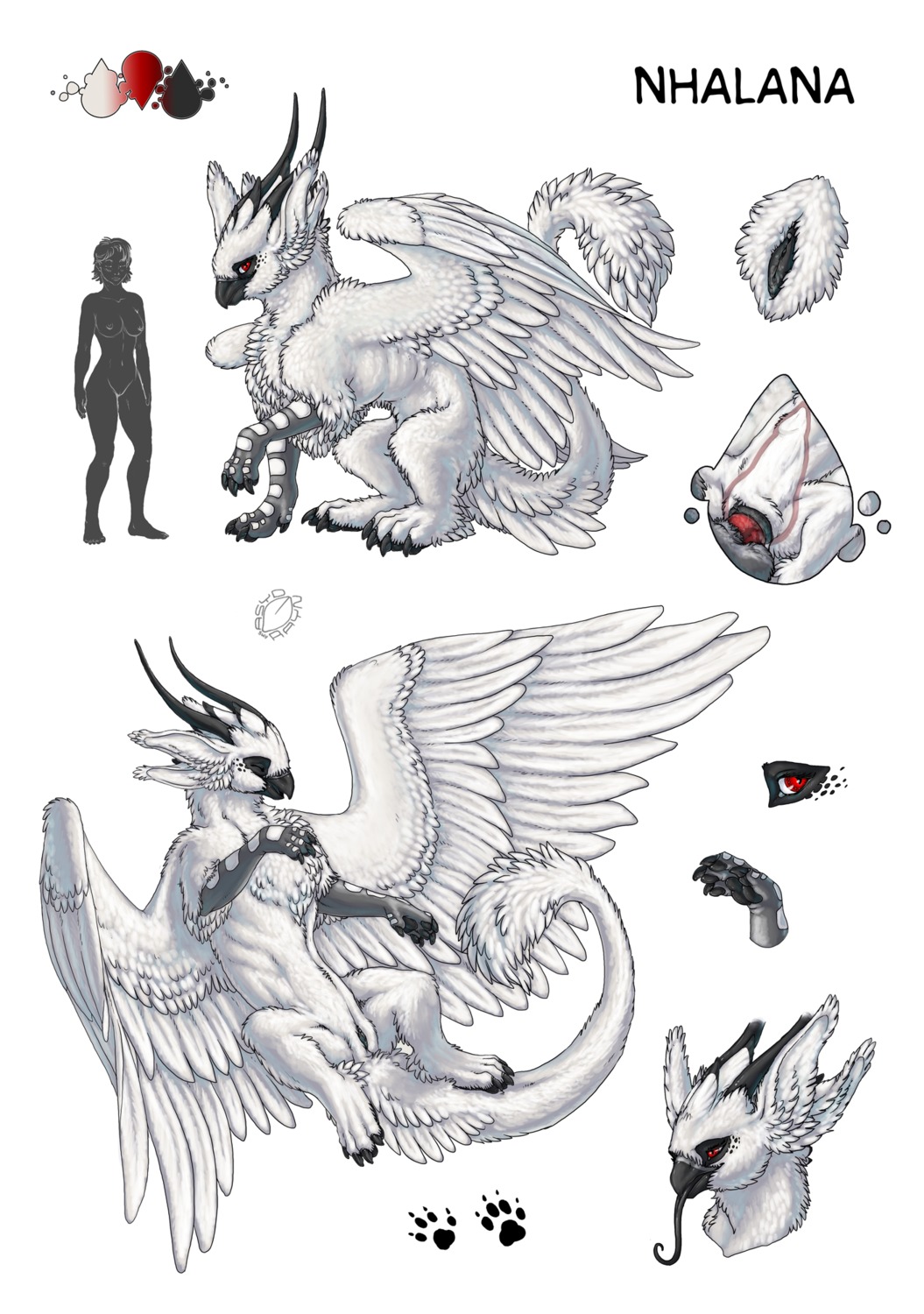 2012 acidapluvia avian balls beak bestiality black_pawpads black_vulva breasts clitoris close-up color_swatch duo e621 feathered_wings feathers female female_focus female_penetrated feral fluffy footprint freckles fur genital_close-up genitals gryphon hi_res horn human human_on_feral interspecies knot knotting long_tongue lying male male/female male_penetrating male_penetrating_female mammal model_sheet monochrome multi_ear mythological_avian mythological_creature mythology nhala_levee nhalana nude on_back pawpads pawprint penetration penile penile_penetration penis penis_close-up penis_in_vagina sex side_view solo_focus spread_legs spreading tail tongue vaginal vaginal_knotting vaginal_penetration vulva vulva_close-up white_body white_feathers white_fur wings