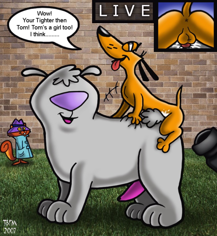 2_stupid_dogs anal anus ass balls canine cum cum_in_ass english_text feral furry gay hanna-barbera hat male male_only penis rule34 secret_squirrel secret_squirrel_show testicles the_big_dog the_little_dog yaoi