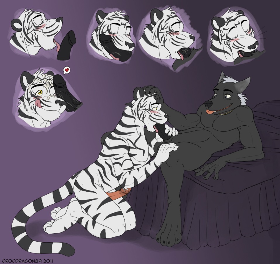 anthro anthro_on_anthro balls biceps big_muscles blush bodily_fluids canid canine canis circumcised crocdragon89 cum cum_on_face cutaway duo e621 erection felid fellatio foreskin genital_fluids genitals head_grab heart_symbol humanoid_genitalia humanoid_penis licking male male/male male_penetrated male_penetrating male_penetrating_male mammal muscular muscular_male nude oral oral_penetration pantherine penetration penile penis penis_lick retracted_foreskin sex sideways_oral sucked_silly tail tiger tongue tongue_out wolf