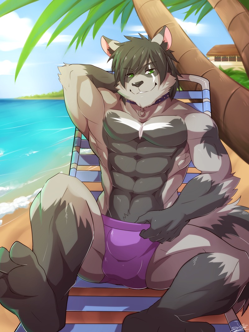 2014 abs anthro athletic balls_outline beach biceps bulge clothed clothing cloud collar detailed_bulge digital_media_(artwork) e621 fur genital_outline green_eyes grey_body grey_fur hair male mammal muscular muscular_anthro outside palm_tree pecs penis_outline plant procyonid rabbity raccoon seaside sky sly_silver solo summer sunbathing topless tree underwear