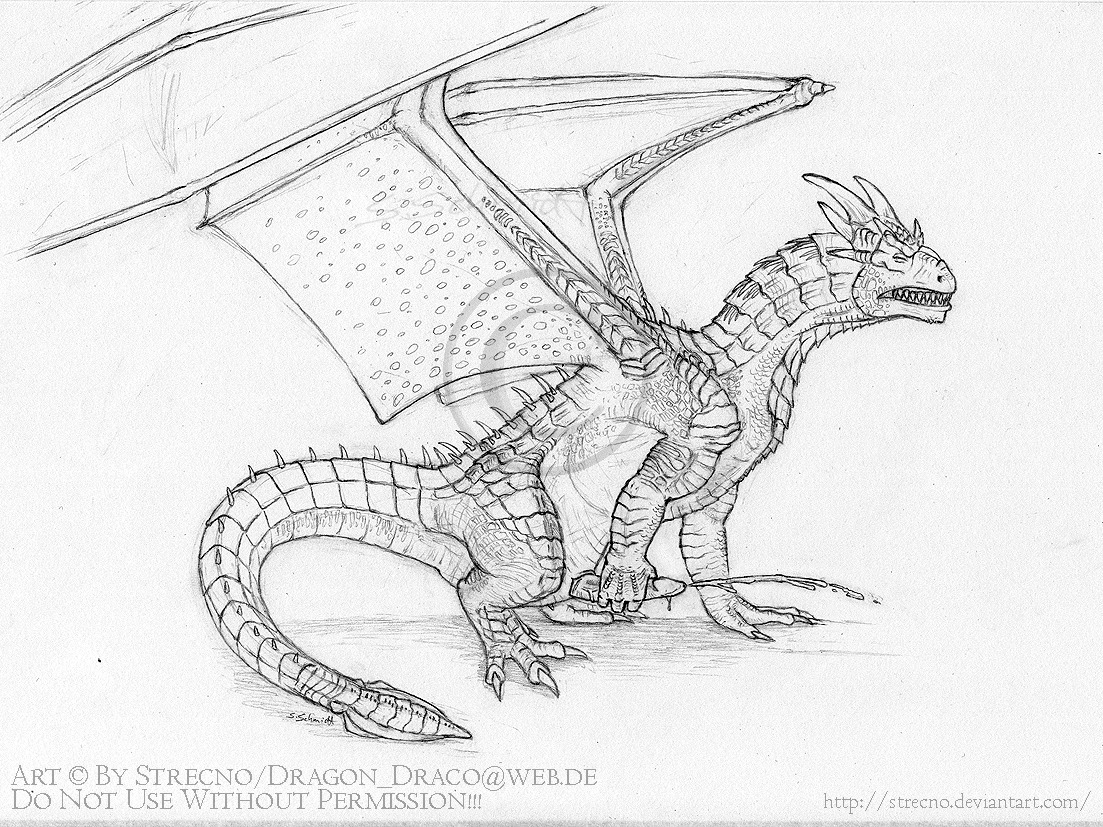 cum draco dragon dragonheart feral male male_only masturbation monochrome nude penis rule34 side_view solo strecno tagme