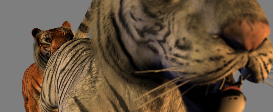 2009 3d_(artwork) alpha_channel ambiguous/ambiguous ambiguous_gender anal digital_media_(artwork) duo e621 eyes_closed felid feral feral_on_feral front-quarter_view front_view fur leucistic looking_at_viewer mammal open_mouth oral orange_body orange_eyes orange_fur pantherine raised_tail realistic_feral realistic_lighting realistic_shading rimming sex siberian_tiger simple_background spanking_(artist) tail three-quarter_view tiger transparent_background white_body white_fur