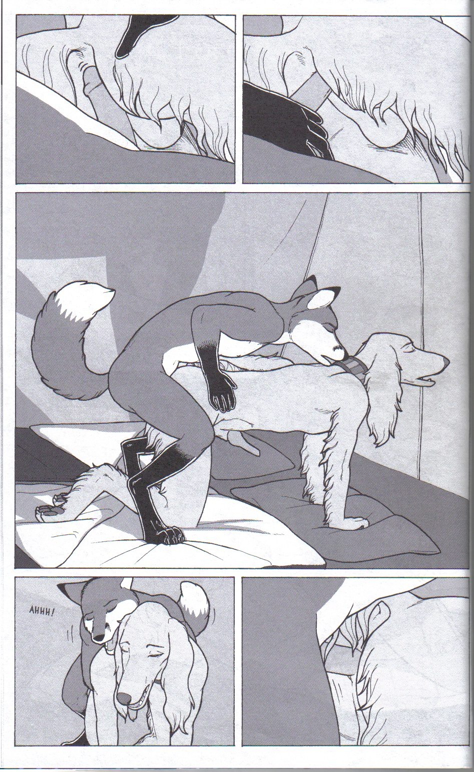 aaaamory animal_genitalia animal_penis anthro black_and_white canid canine canine_genitalia canine_penis canis collar comic dialogue domestic_dog duo e621 english_text erection forget fox genitals hi_res knot knotted_penis male male/male mammal monochrome multiple_scenes penis sex sleeping_bag tail tent text zlato