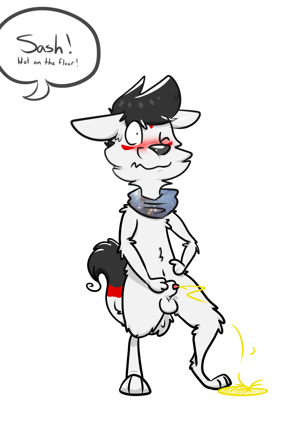 2:3 absurd_res animal_genitalia anthro backsash balls biped black_nose blush bodily_fluids canid canine canis clothing dialogue domestic_dog e621 english_text fur genital_fluids genitals hair hi_res kerchief male mammal multicolored_hair nude peeing penis penis_tip sash_(backsash) sheath simple_background solo text urine urine_on_ground urine_pool urine_stream watersports white_background white_body white_fur