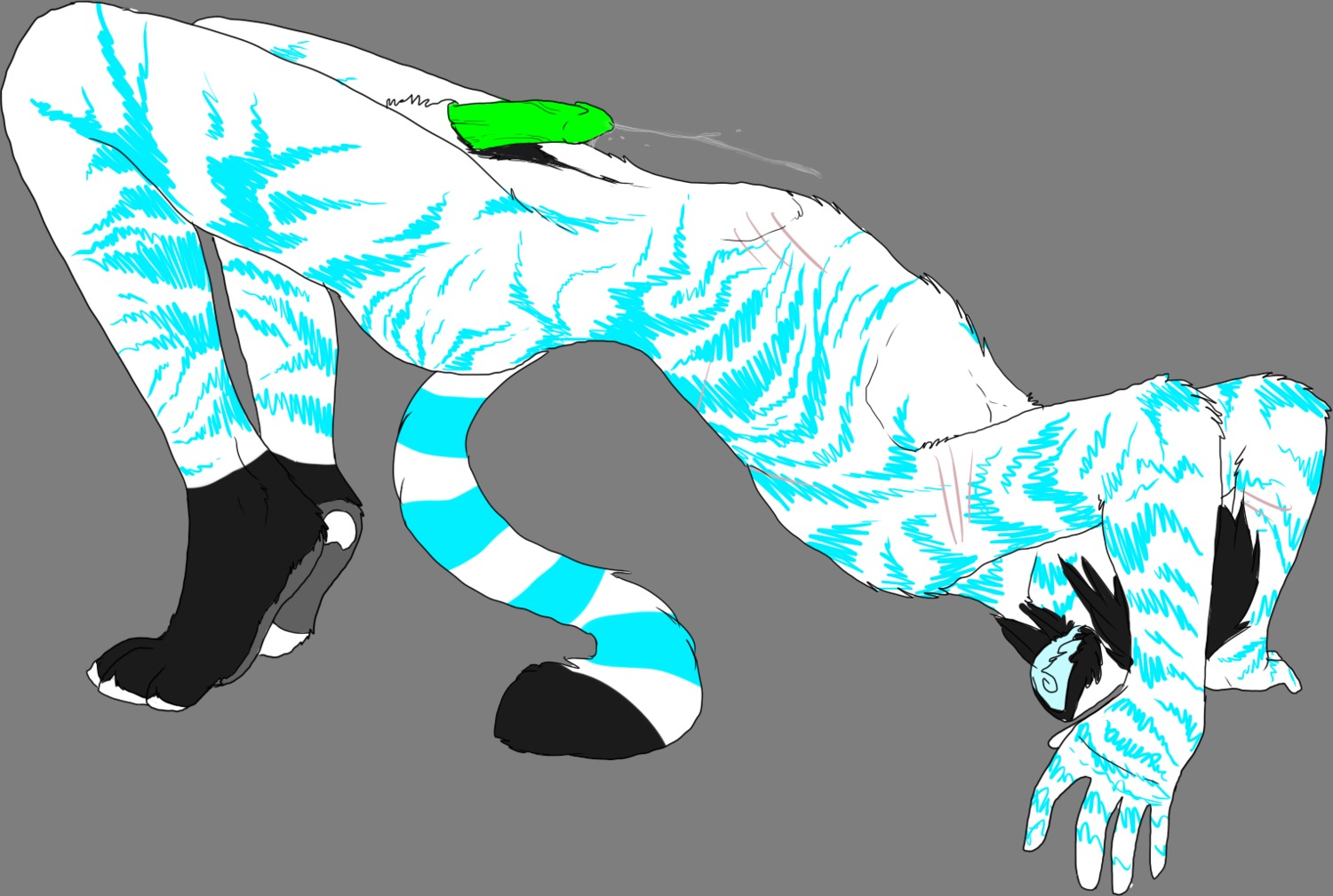 akiko_(basillicus) alpha_channel basillicus blue_markings bodily_fluids body_hair cum e621 erection felid fur genital_fluids genitals green_penis happy_trail male mammal markings pantherine penis precum scar simple_background solo stretching stripes tail tiger transparent_background white_body white_fur