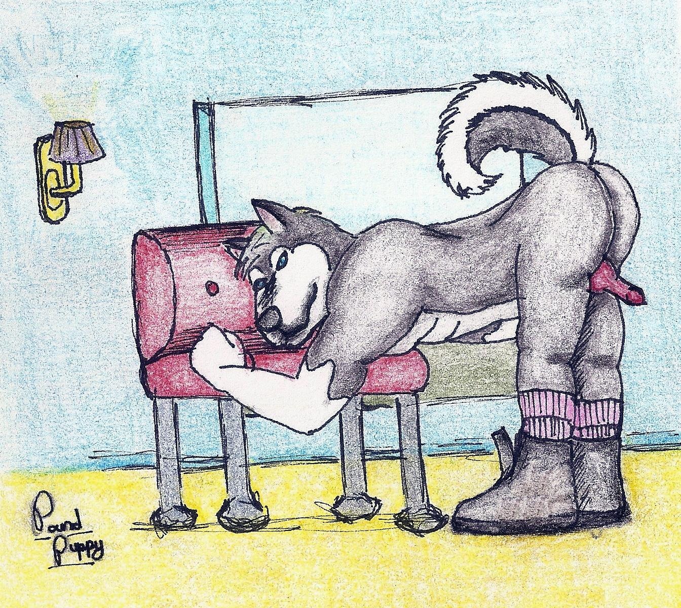 anthro boots butt canid canine canis chair clothing domestic_dog e621 erection footwear furniture genitals hi_res husky lamp looking_at_viewer male mammal nordic_sled_dog penis penis_backwards pound_puppy_(artist) presenting presenting_hindquarters shoes solo spitz tail traditional_media_(artwork) window