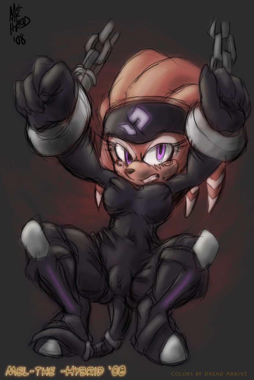 2008 anthro armor bondage bound cameltoe echidna female female_only front_view fur mammal mel_the_hybrid monotreme pussy raised_arms rule34 shade_the_echidna solo sonic_(series) sonic_the_hedgehog_(series) squatting tagme