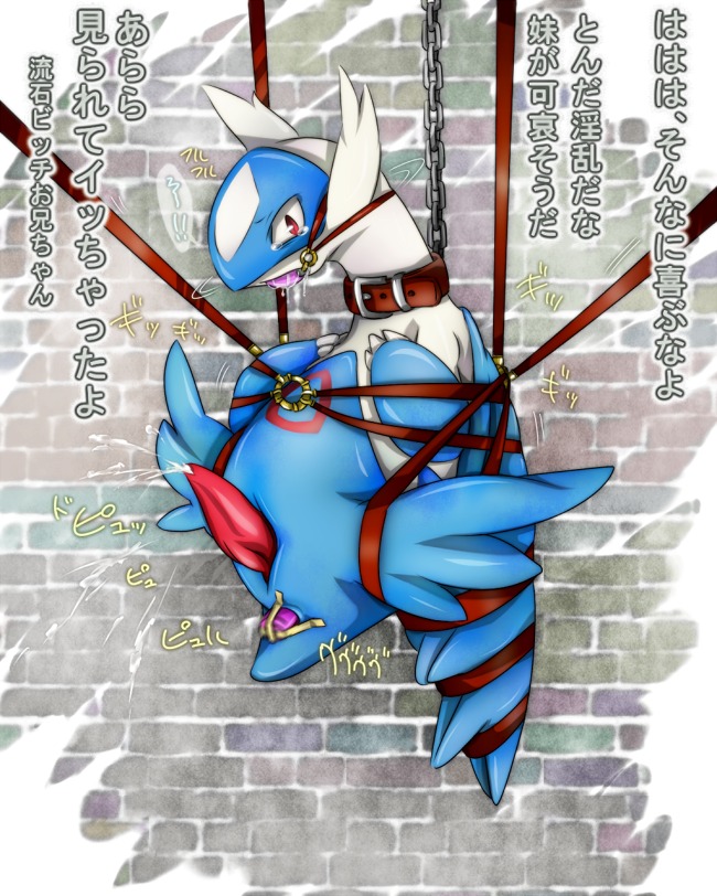 bondage bound color cum feral gag gagged latios male male_only nude penis pokemon pokemon_(species) red_eyes rule34 solo suspension tagme