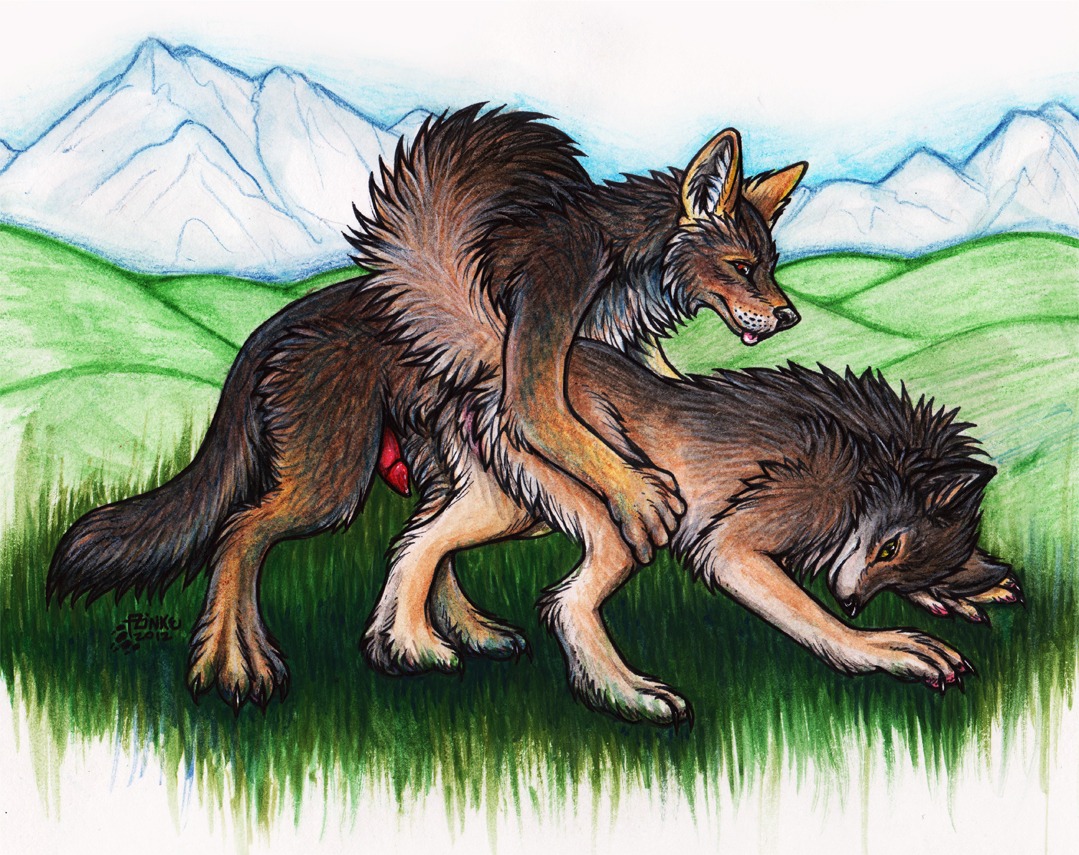 all_fours canid canine canis coyote digitigrade doggystyle duo e621 erection female feral from_behind_position genitals male male/female mammal nude outside penis phantasmic quadruped sex tail wolf