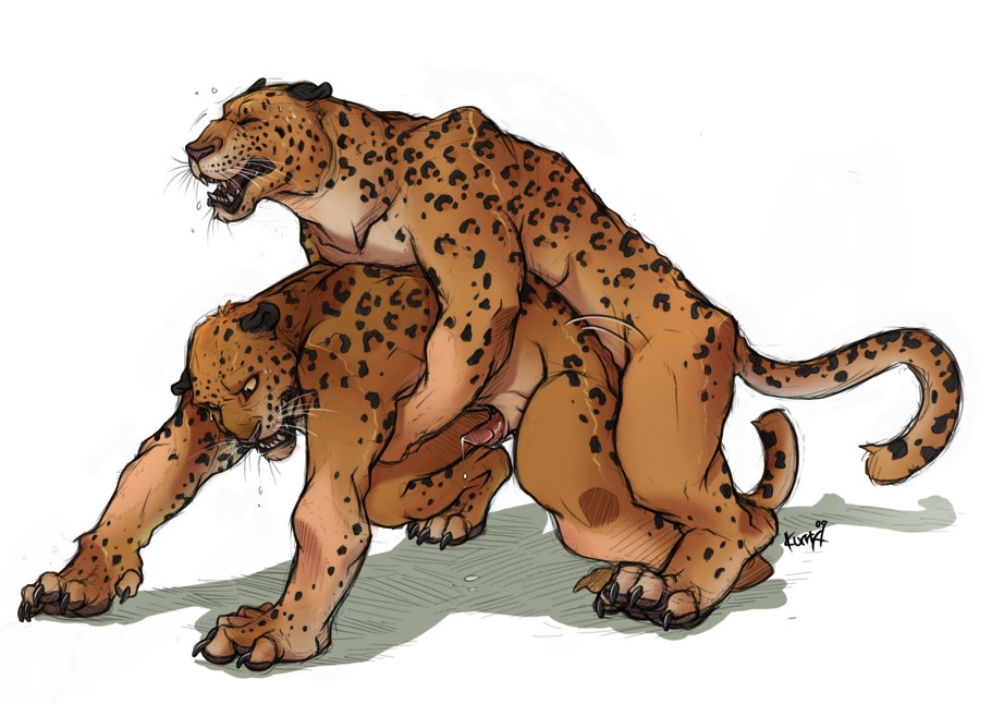 anal anal_penetration animal_genitalia animal_penis anthro anthro_on_feral anthro_penetrated bestiality bodily_fluids claws cum duo e621 erection felid feline_genitalia feline_penis feral feral_penetrating feral_penetrating_anthro genital_fluids genitals interspecies kuma leopard leopard_spots male male/male male_penetrated male_penetrating male_penetrating_male mammal muscular muscular_male nude pantherine penetration penis sex sheath species_transformation spots sweat tail transformation