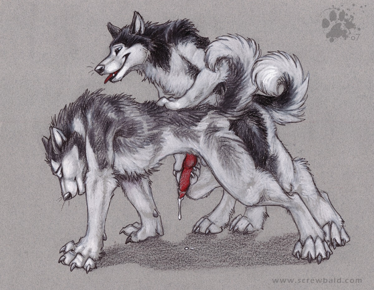 2007 alaskan_malamute all_fours anal anal_penetration animal_genitalia animal_penis anthro anthro_on_anthro anthro_penetrated anthro_penetrating anthro_penetrating_anthro biped blotch bodily_fluids canid canine canine_genitalia canine_penis canis claws cum doggystyle domestic_dog dripping duo e621 erection eyes_closed finger_claws from_behind_position genital_fluids genitals handjob handjob_while_penetrating husky intraspecies knot male male/male male_penetrated male_penetrating male_penetrating_male mammal nordic_sled_dog nude penetration penile penis pointy_ears prick_ears quadruped reach_around scratches_volume_1 sex simple_background spitz tail textured_background toe_claws tongue tongue_out traditional_media_(artwork)