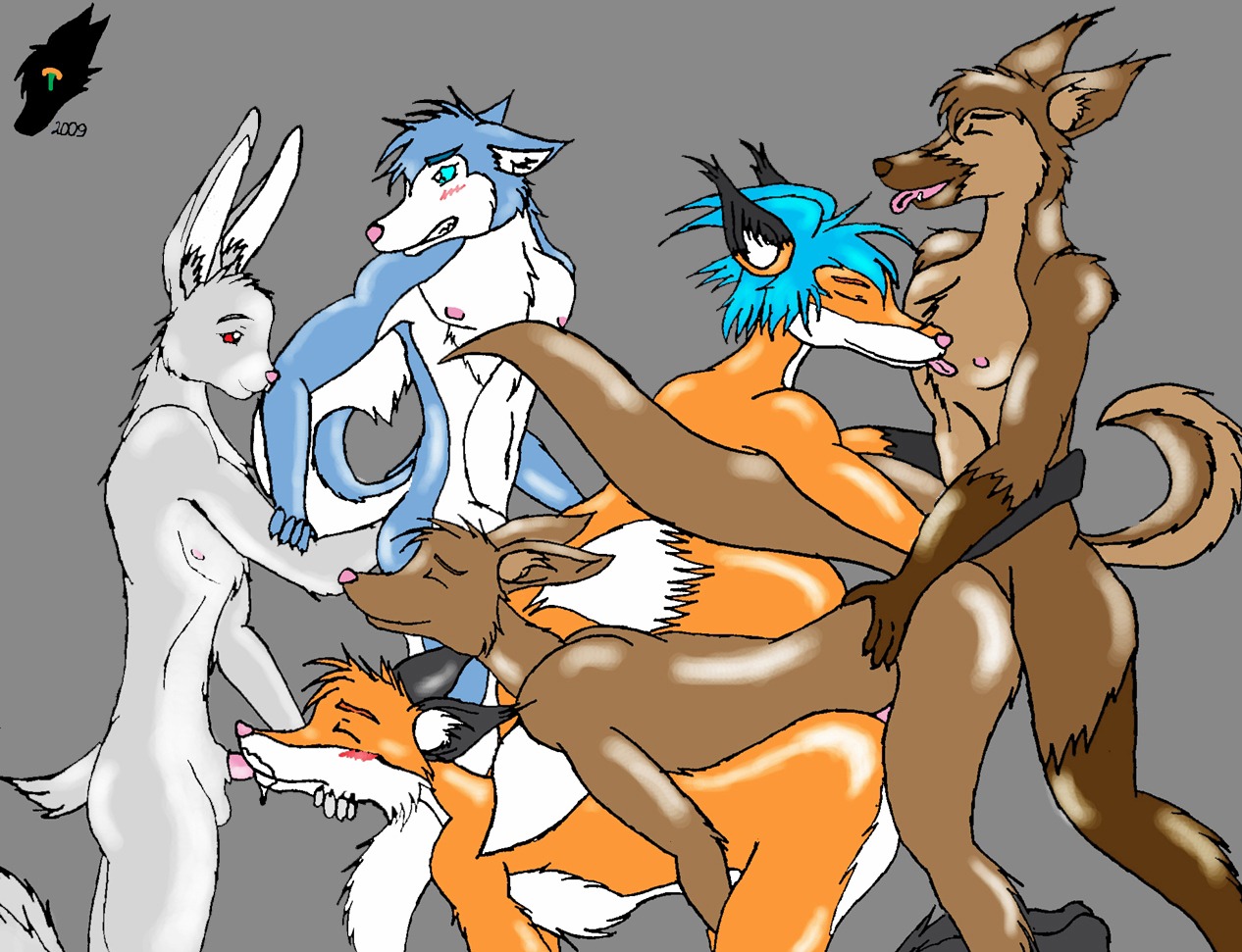 anthro canid canine canis domestic_dog e621 erection fox genitals group group_sex husky interspecies kangaroo lagomorph leporid macropod male male/male mammal marsupial nordic_sled_dog orgy penis predator/prey rabbit sex spitz tail tieria train_position