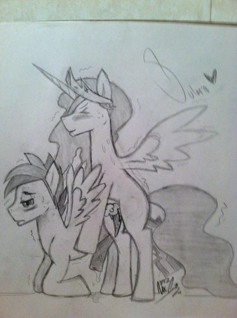 alicorn equine feral friendship_is_magic hasbro horse male my_little_pony pegasus pony princess_celestia_(mlp) rainbow_dash_(mlp) rule34 rule_63 smooth_skin