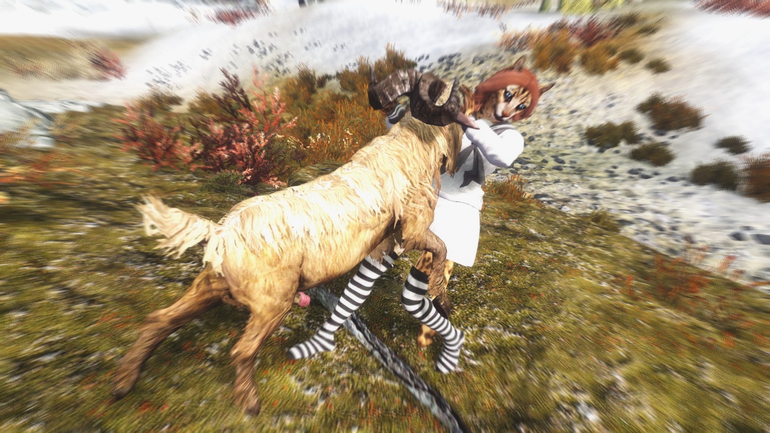 16:9 3d_(artwork) anthro bestiality bethesda_game_studios bovid caprine clothing digital_media_(artwork) discombobulation duo e621 felid female feral footwear goat hi_res interspecies khajiit legwear mammal microsoft realistic_feral screencap skyrim socks the_elder_scrolls widescreen