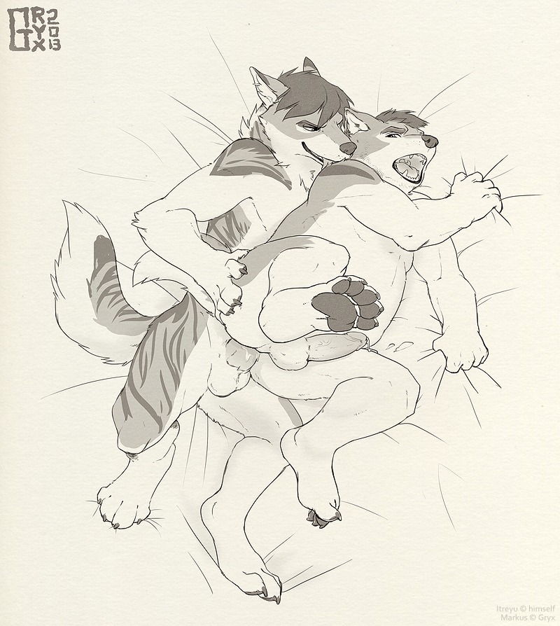 2013 anal anal_penetration anthro balls bodily_fluids canid canine canis domestic_dog duo e621 erection genital_fluids genitals gryx husky hybrid licking lying male male/male male_penetrated male_penetrating male_penetrating_male mammal nordic_sled_dog nude open_mouth penetration penis precum raised_leg sex sketch slightly_chubby spitz tongue tongue_out wolf