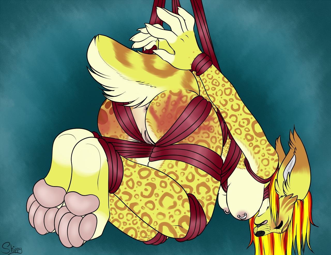 4_toes abstract_background anthro anus bound breasts butt e621 eyes_closed feet felid female genitals hindpaw humanoid_feet mammal nipple_piercing nipples nude pawpads paws piercing plantigrade restrained ship-wreck simple_background soles solo submissive submissive_female toes vulva