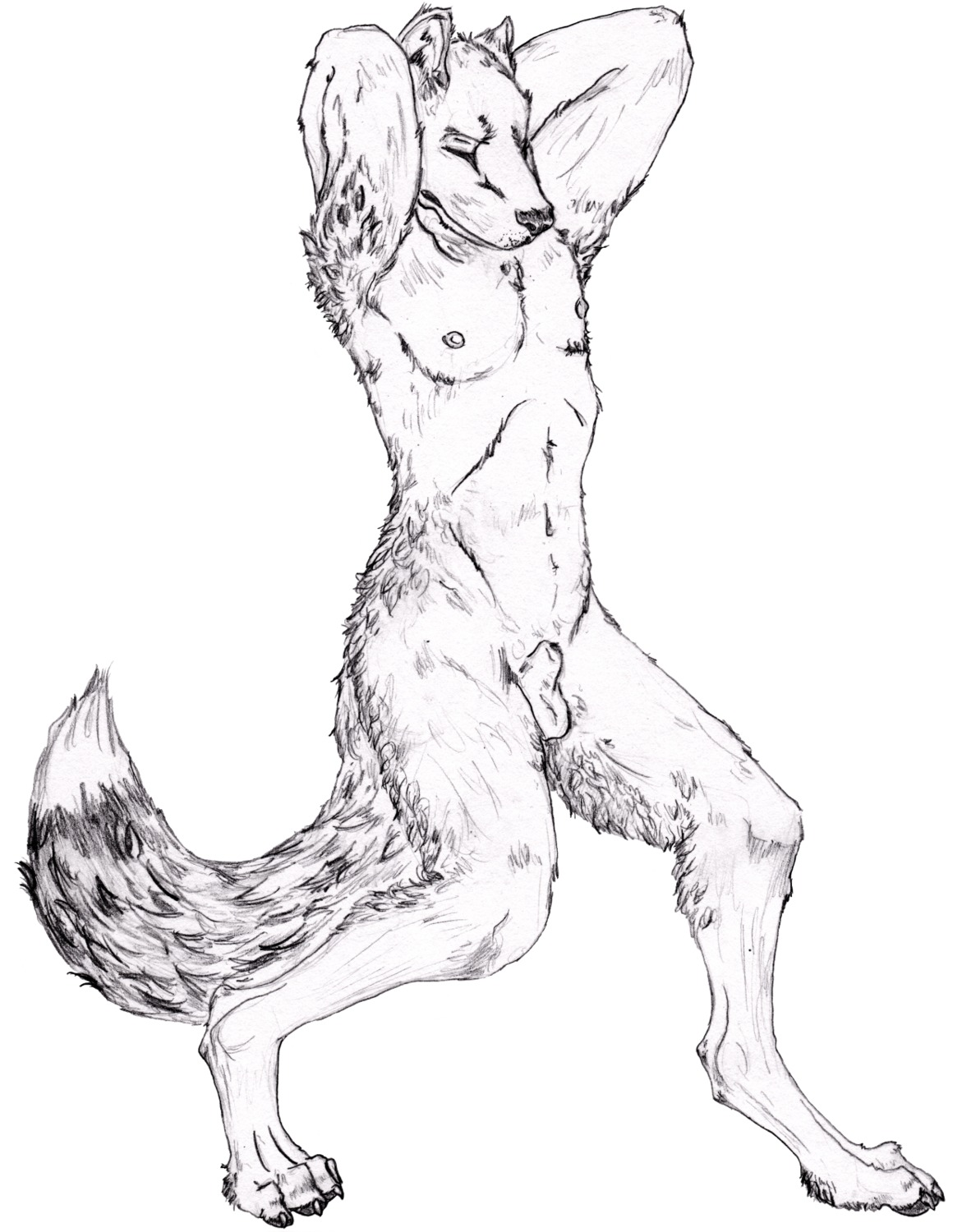 animal_genitalia anthro armpit_hair balls black_nose body_hair canid canine claws digitigrade e621 eyes_closed feet flaccid fully_sheathed genitals greyscale hi_res hindpaw male mammal monochrome nipples nude paws penis semiotica sheath solo tail