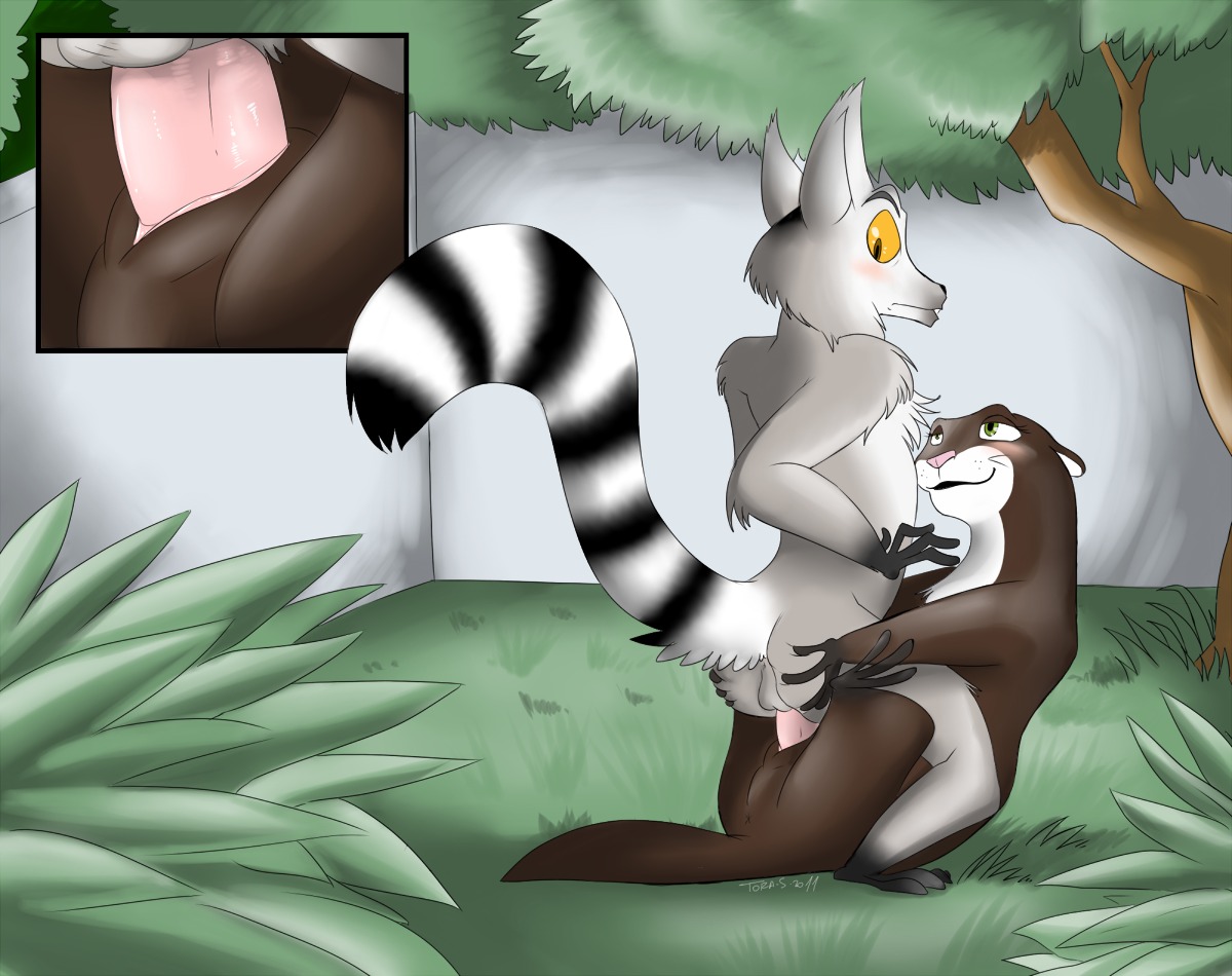dreamworks female feral furry furry_only king_julien madagascar_(series) marlene_(madagascar) nickelodeon rule34 tagme the_penguins_of_madagascar