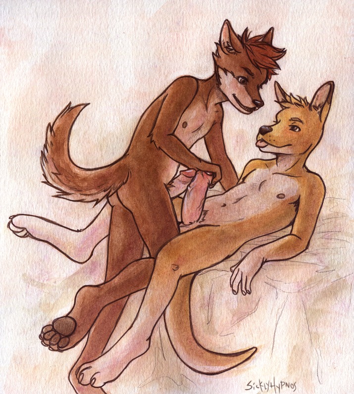 anthro arm_hair armpit_hair big_penis body_hair canid canine canis chest_hair coyote duo e621 erection foreskin frottage genitals glans_play humanoid_genitalia humanoid_penis kangaroo kirron_(character) macropod male male/male mammal marsupial nipples nude painting_(artwork) palming partially_retracted_foreskin penile penis penis_size_difference penises_touching pubes realistic_penis_size retracted_foreskin roko sex sicklyhypnos tongue tongue_out traditional_media_(artwork) traditional_painting_(artwork) traditional_watercolor_(artwork) vein veiny_penis watercolor_(artwork)