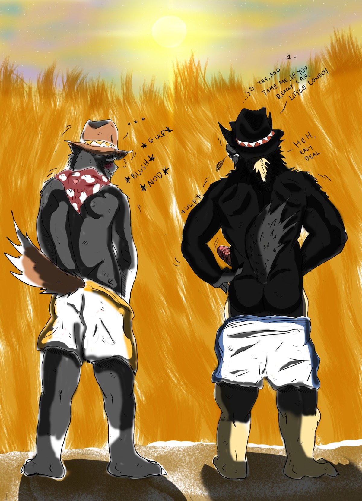anthro canid canine canis colored cowboy deal duo e621 erection genitals hi_res male mammal muscular penis star sunset tiger371 wolf