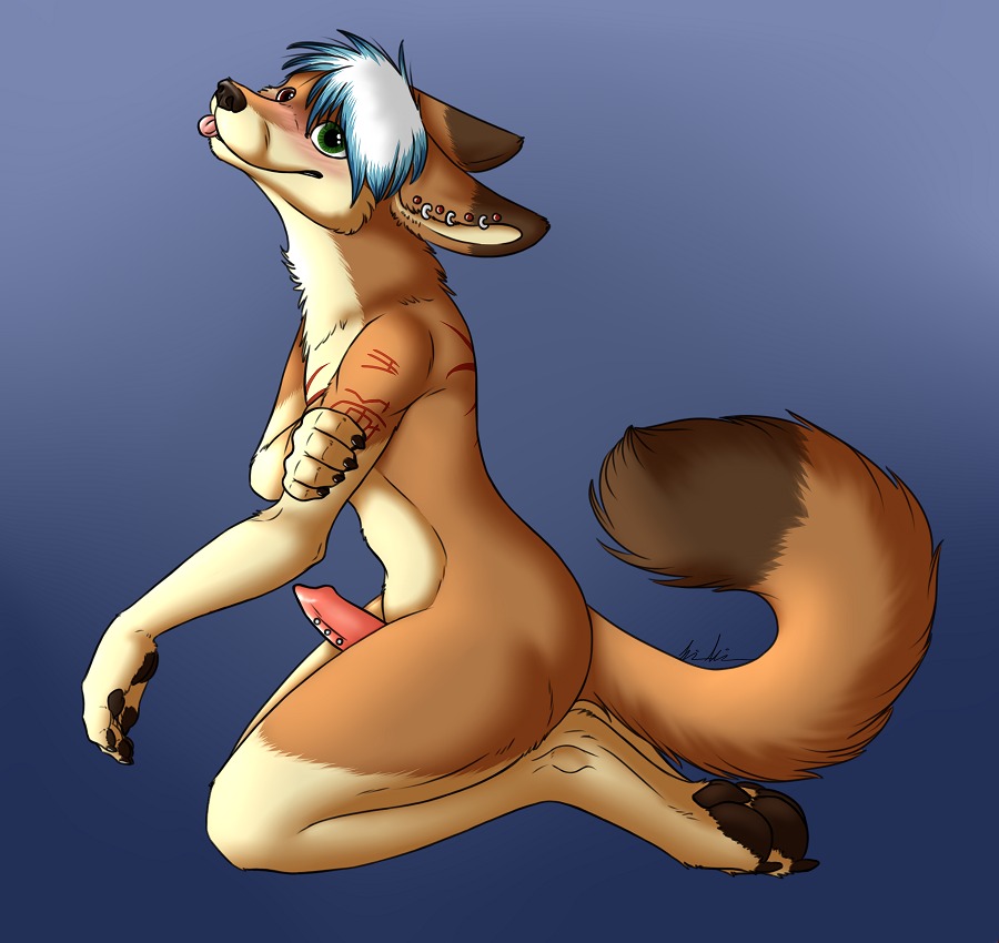 1boy 2011 anthro blush canine ear_piercing earring fur furry leverpuller male male_only nude penis piercing rule34 solo tongue
