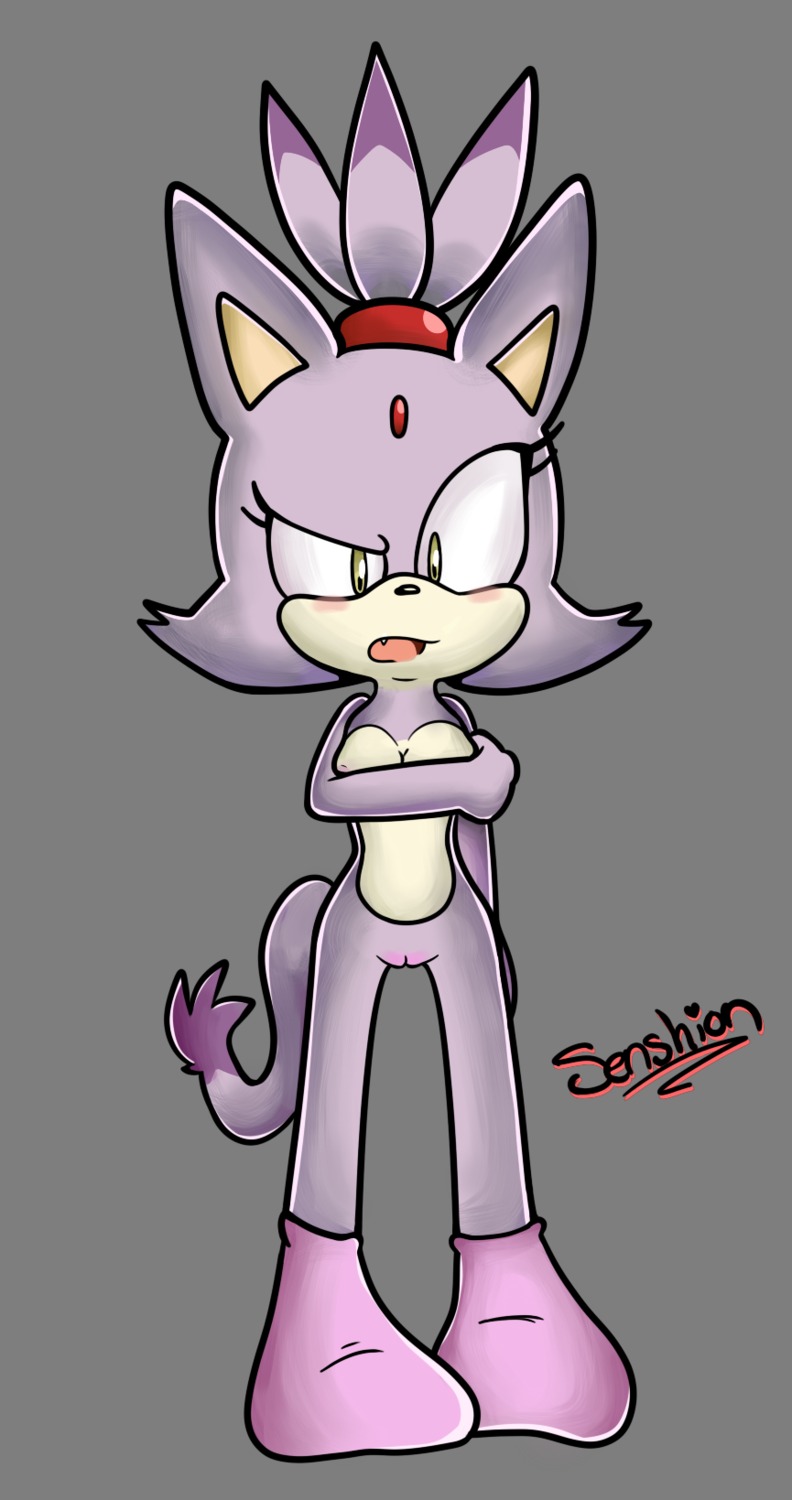 alpha_channel anthro biped blaze_the_cat breasts clothing domestic_cat e621 felid feline felis female footwear fur genitals hi_res legwear mammal nude purple_body purple_fur sega senshion socks solo sonic_the_hedgehog_(series) standing thigh_gap thin_calves thin_legs thin_thighs vulva yellow_eyes