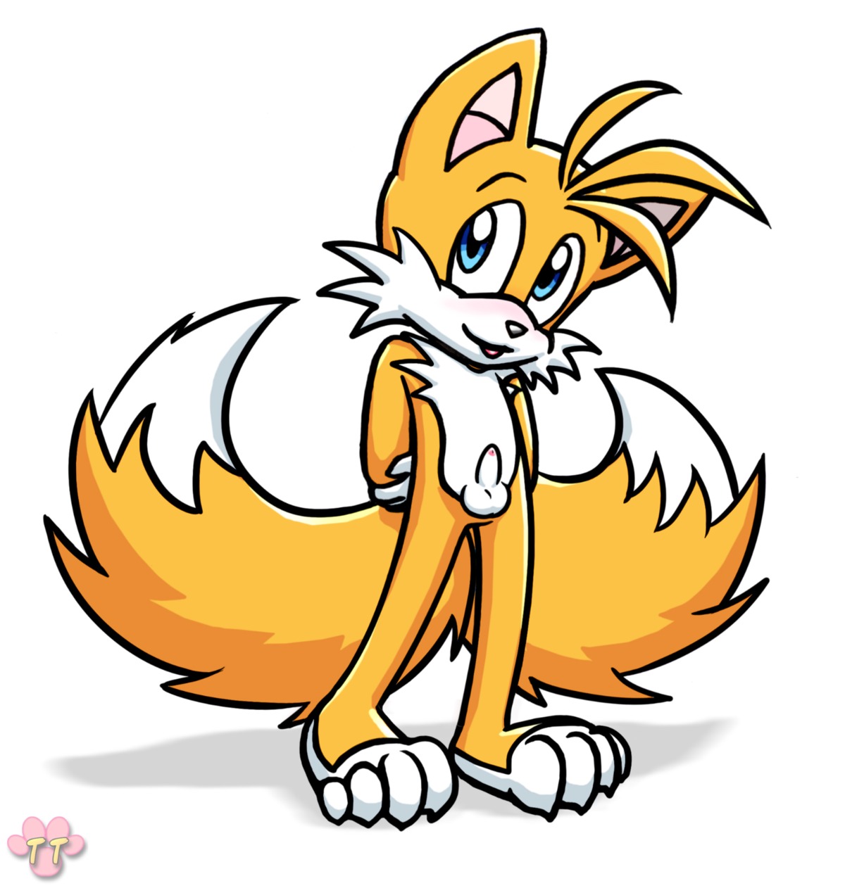 anthro balls blush canine fox fur furry_tail male male_only multi_tail nude penis rule34 solo sonic_(series) standing tagme tail tails tails_the_fox twotails